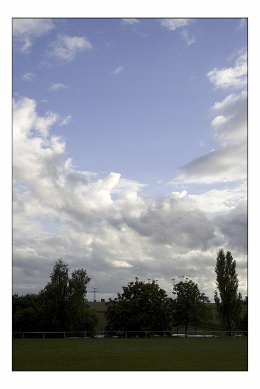 _Z9Y1429.jpg