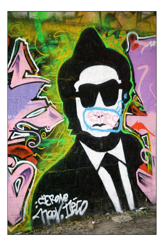 Blues-Brother-portrait.jpg