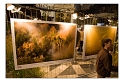 Paysages